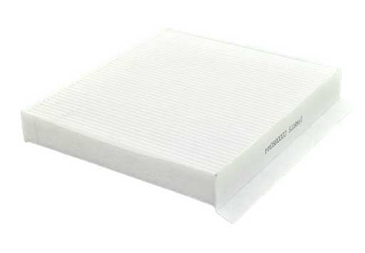 Filtro Polen Maxus - iParts (FTFPO-000085)