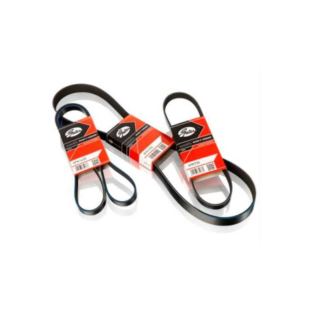 Correa Accesorio TOYOTA - Gates (4PK925)